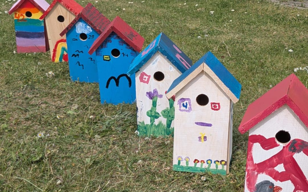 ZWR kreativ: Kinder bemalen Vogelhäuser